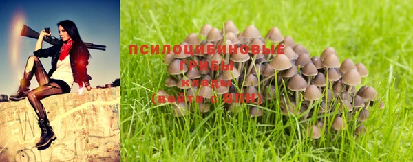 амф Алексеевка