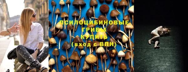 дмт Алзамай