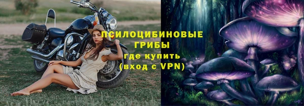 дмт Алзамай
