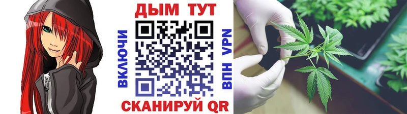 Канабис SATIVA & INDICA  OMG рабочий сайт  Гусь-Хрустальный 